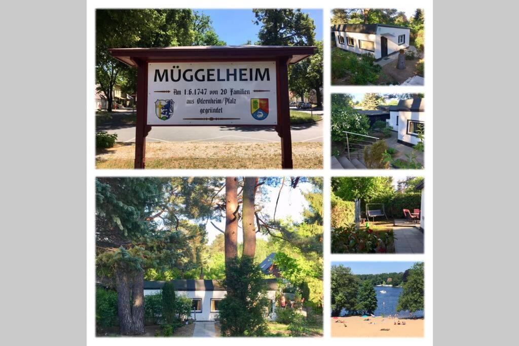 Ferienhaus Garden